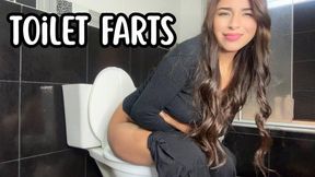 Long farts in the toilet