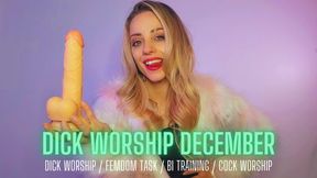 Dick Worship December - Bi Encouragement Task