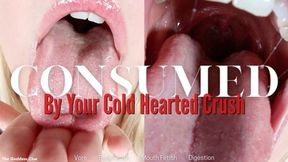 Consumed By Your Cold Hearted Crush - HD - The Goddess Clue, Denied, Rejected, Humiliated, Vored By Your Cruel Crush, Natural Stomach, Bloated Belly, Body Worship, Digestion, Pink Lips, Lip Gloss