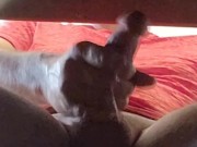 Huge Up Close Pulsating Male Orgasm Compilation Cumming Moaning in 4k