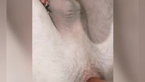 so hot twink enjoys a big anal ball and cums from a strap-on. his anal spits natural lube