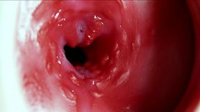 Big Orgasm Inside the Anus! Fantastic Moaning Orgasm and a Lot of Sperm!