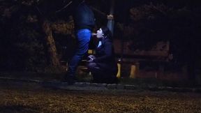 Cock sucking under the night light