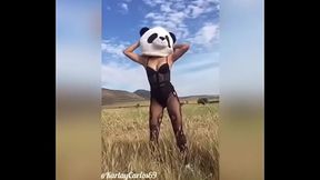 En el campo, putita panda