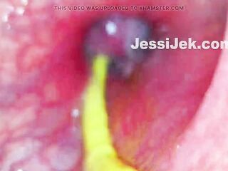 Plumber's Endoscope Stuk in My Ass Showed Hot Anal Creampie From Inside