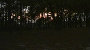 Girlfriends, prostitutes and the perverted man. (PT)