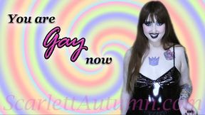 You are Gay now - MP4 HD 1080p