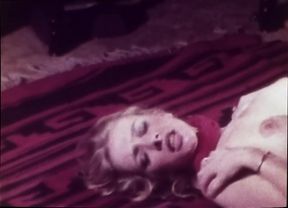 Vintage porn retro erotic theatre - a cabin in the woods