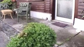 A superb German blonde gets her shaved pussy destroyed