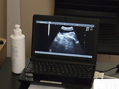 Petite twink fucked during ultra sound in doctor infirmary