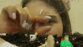 Eva's antfarm 6K VR 360