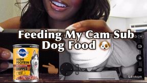 Sub Cam Series: Feeding My Cam Sub Dog Food