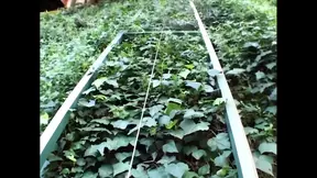 Michelle B: Fuck Me Hard with Your Two Big Cocks