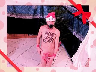 bare pathetic white CHRISTMAS serf with body writing housekeeping in front of the xmas tree with clamps on homosexual balls, CMNM
