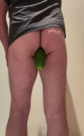 Anal cucumber 34