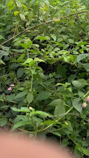 Let Go Out for Experience