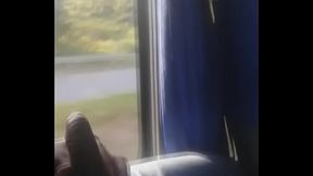una paja en el bus
