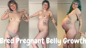 Bred MILF Nude 2nd Pregnant Belly Fetish Growth