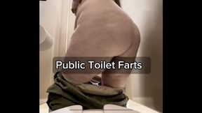 Public Toilet Farts