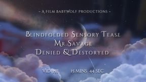 Vid357 – Blindfolded Sensory Tease -  Mr. Savage Denied & Destroyed