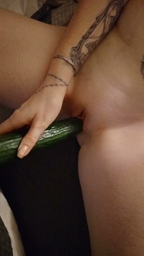 Playful private erotic adventure with a cucumber in front of the camera