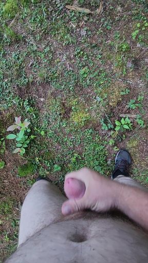 Jerk off in the Park