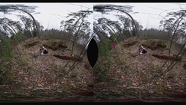 Crazy outdoors fucking