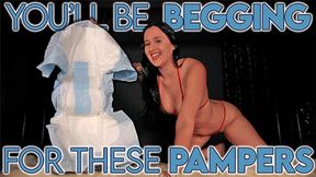 Beg For Pampers