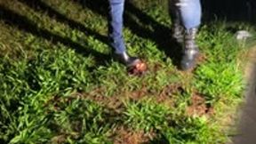 Birthday cake For Slave V2