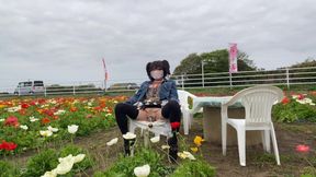No. 195 Exposing My Pussy in a Flower Field