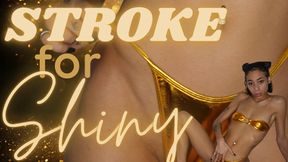 Stroke for Shiny