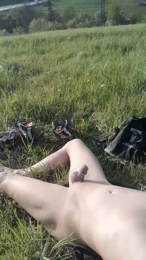 Venku pri zberu pampelisek