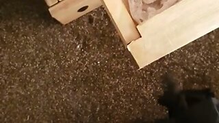 neighbors worn pantys and panty draw