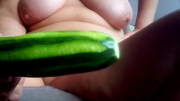Mein Zucchini Gemüse