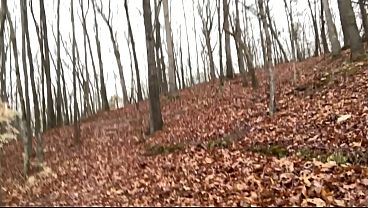 Clitlicker662 - update #58 - IMG 1611 - Mar 13, 2026