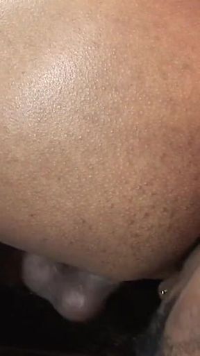 Kemancheo + Sebastian Alexander