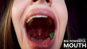 Ashlynn Taylor - "Big Powerful Mouth" Vore Gum Chewing & Mouth Tour - HD 1080p