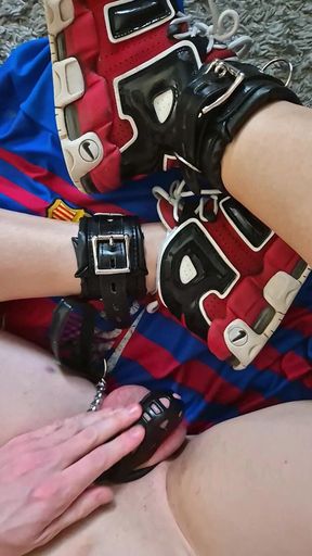 A Puppy Rides a Dildo Wearing a Helmet.