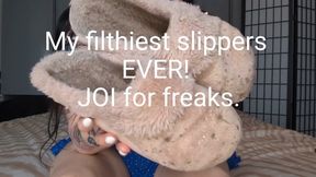 Disgusting Vinegar Stinky Slippers JOI