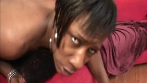 diva devine is a black kitty