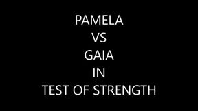 PAMELA VS GAIA