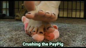 Foot Play With the Pay Pig Foot Fetish Long Toes Stomping