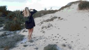 Sliding on the sand 2 WMV (1920x1080) FHD