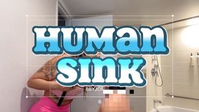 Human Sink