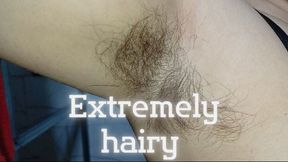 Ten minutes of Lola's extremely hairy armpits