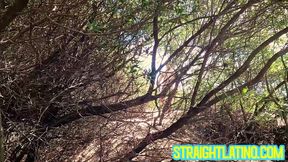 Alluring Dragon Rojo savagely fucks Will Schokolade like a horny slut