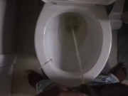 Piss Compilation (One Day of Piss)