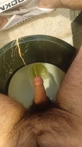 Piss sitting on my toilet.