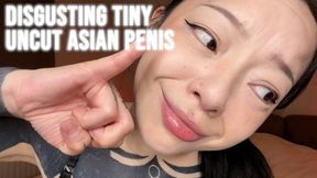 Disgusting Tiny Uncut Asian Penis