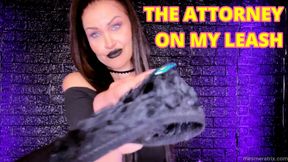 THE ATTORNEY ON MY LEASH (custom clip)